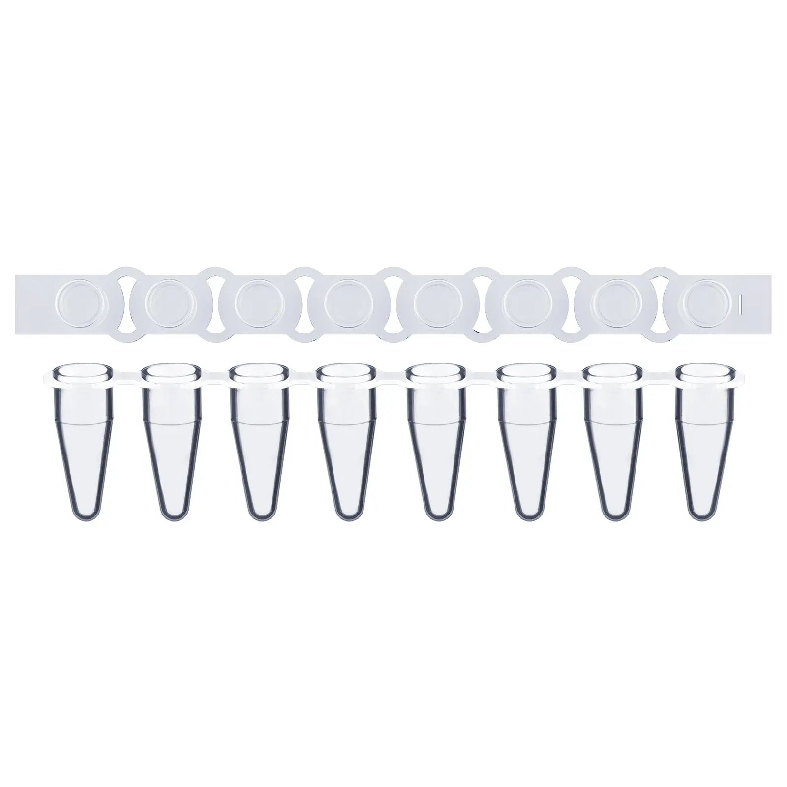 StonyLab 8-Strip PCR Tubes for professional laboratory applications
