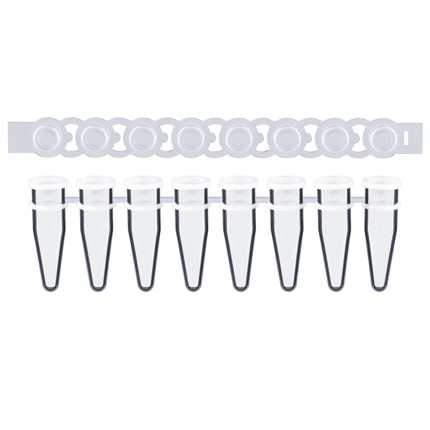 8-Strip PCR Tubes, 0.2 ml Thin-Wall Flat Cap, Transparent, 200-Pack Tube-PCR