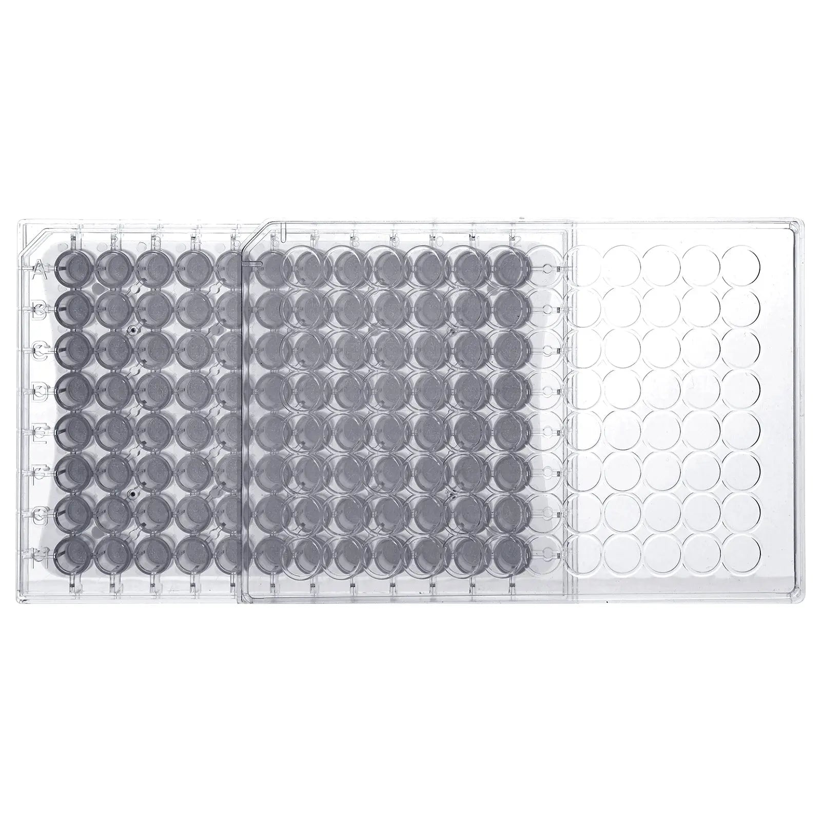 StonyLab 96-Well PTFE Membrane Filter Plate for professional laboratory applications