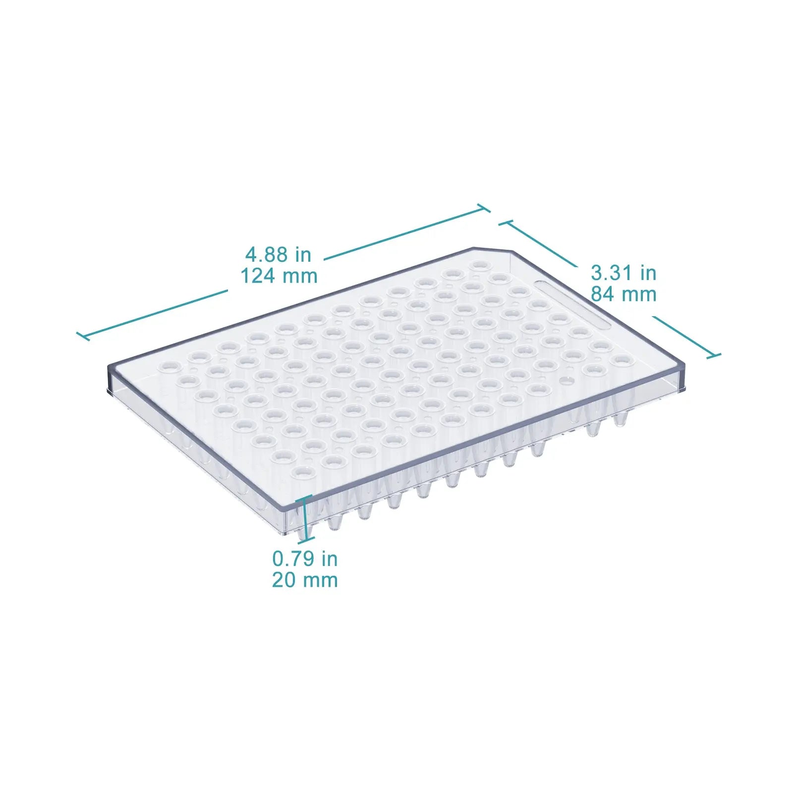 Close-up view showing the precise design and material of StonyLab 96-Well Semi-Skirted PCR Plate