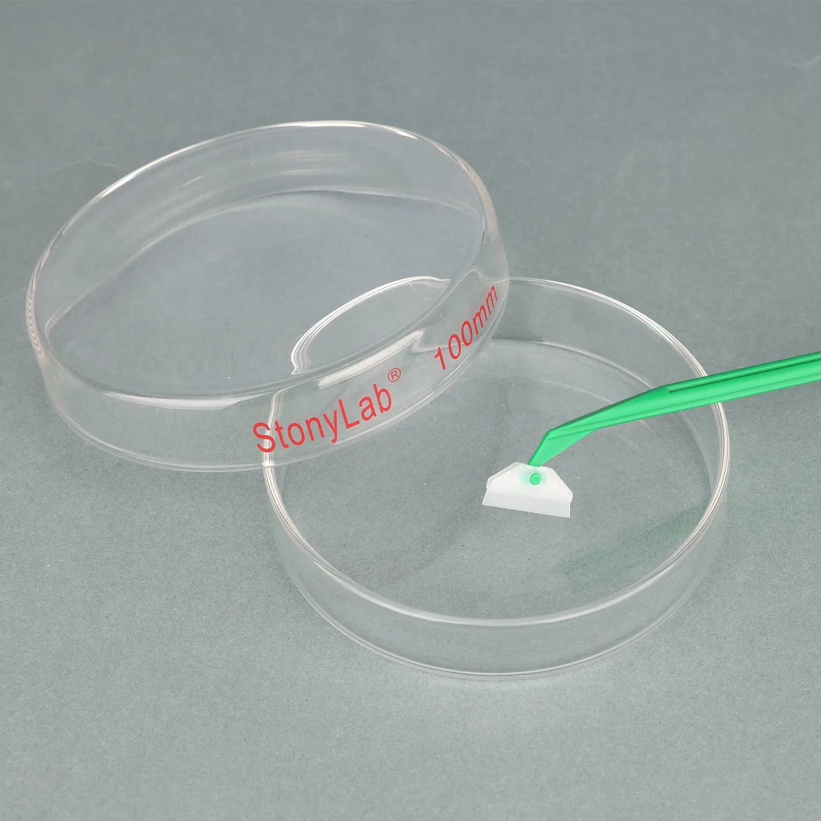 Alternative angle showing underlying build quality of StonyLab Cell Scraper