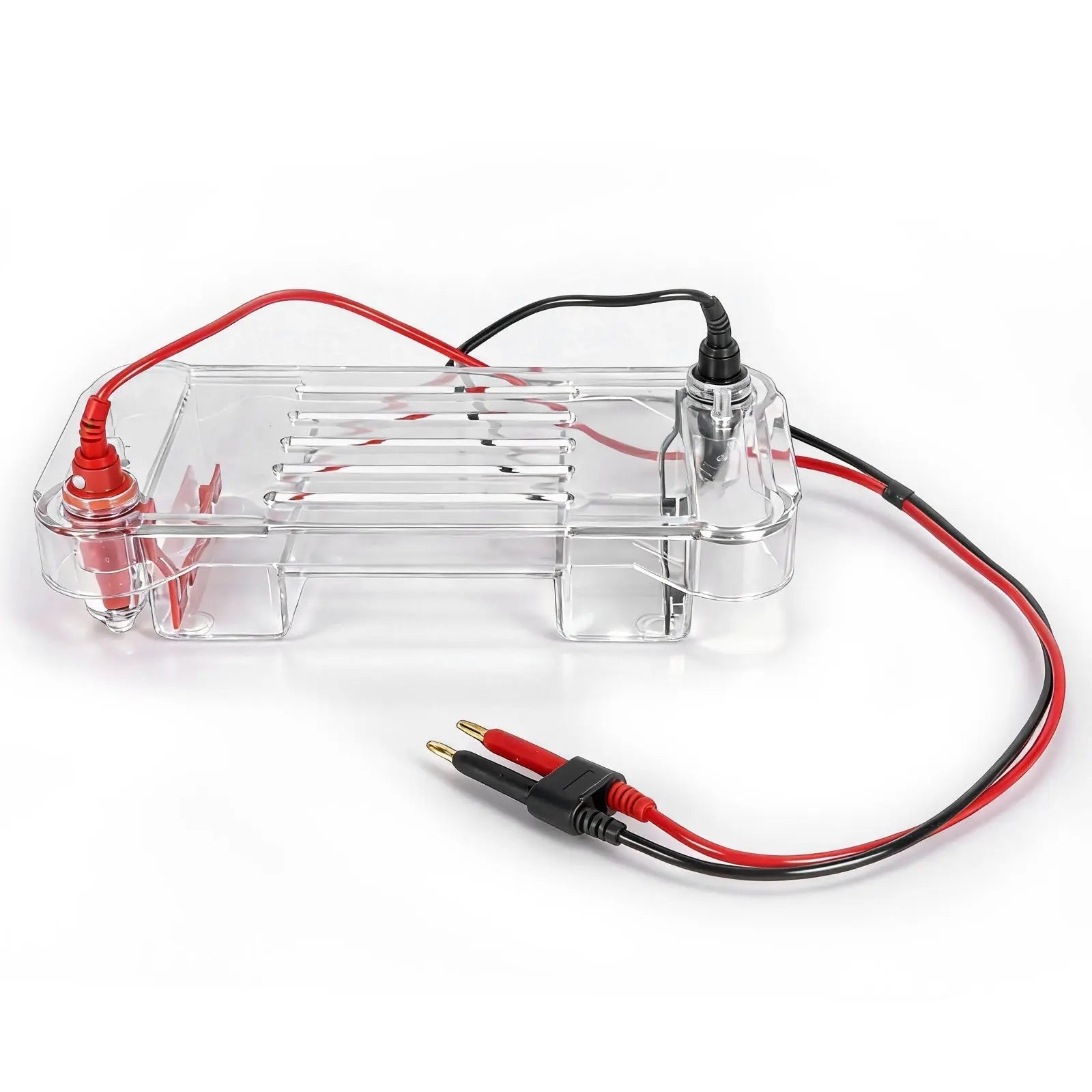 Close-up view showing the precise design and material of StonyLab Horizontal Electrophoresis Apparatus