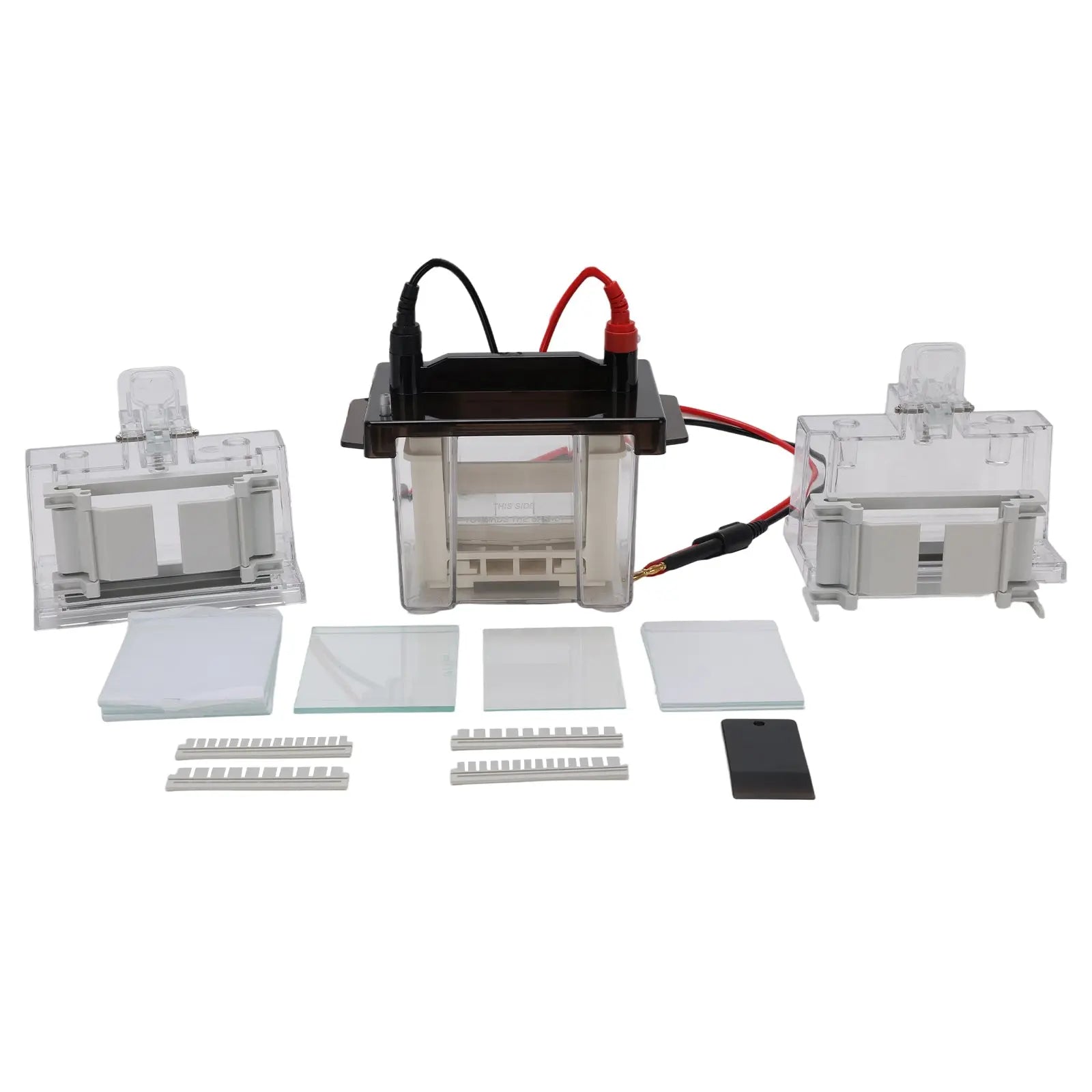 StonyLab Mini Vertical Electrophoresis Apparatus for professional laboratory applications