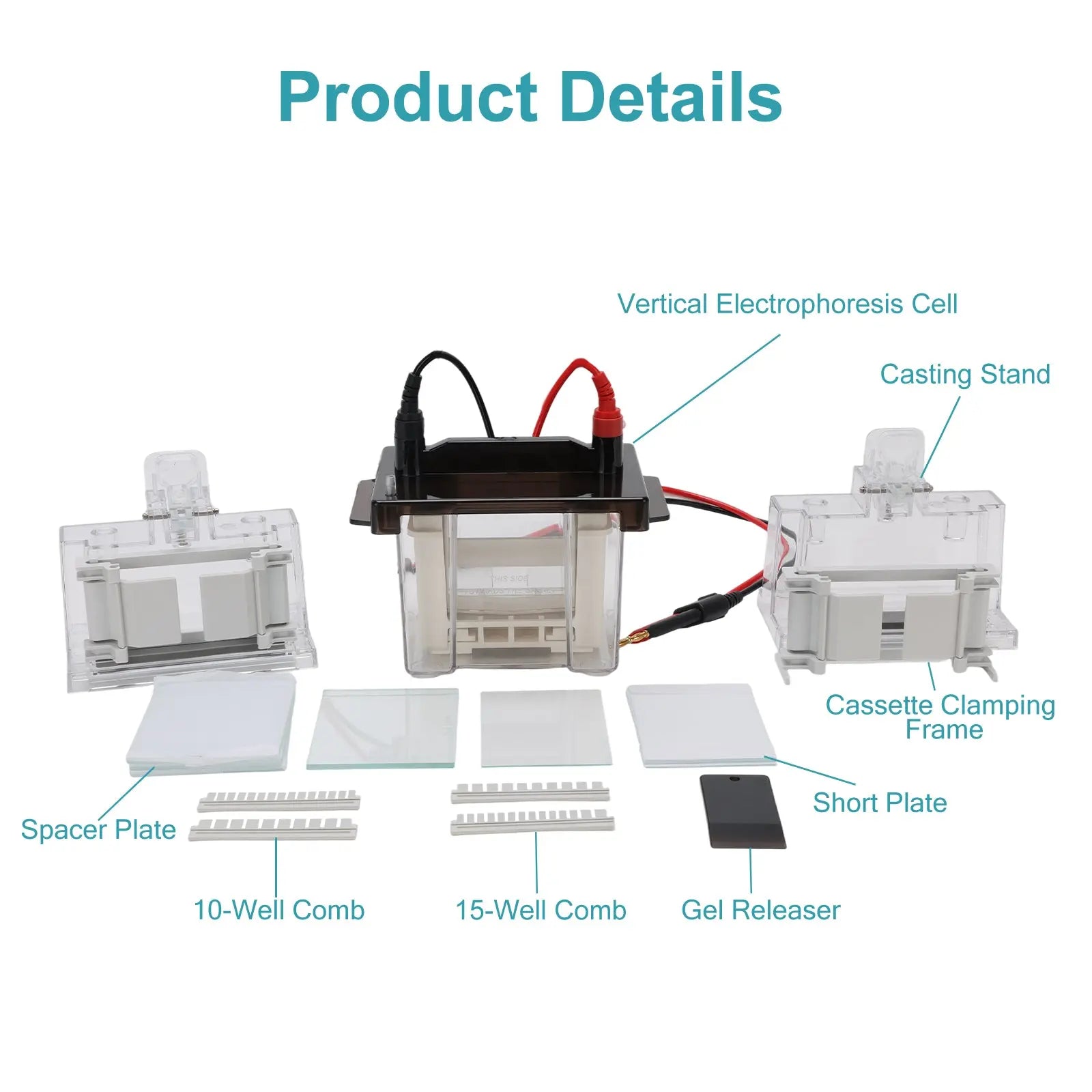 Comprehensive product view and setup components for StonyLab Mini Vertical Electrophoresis Apparatus