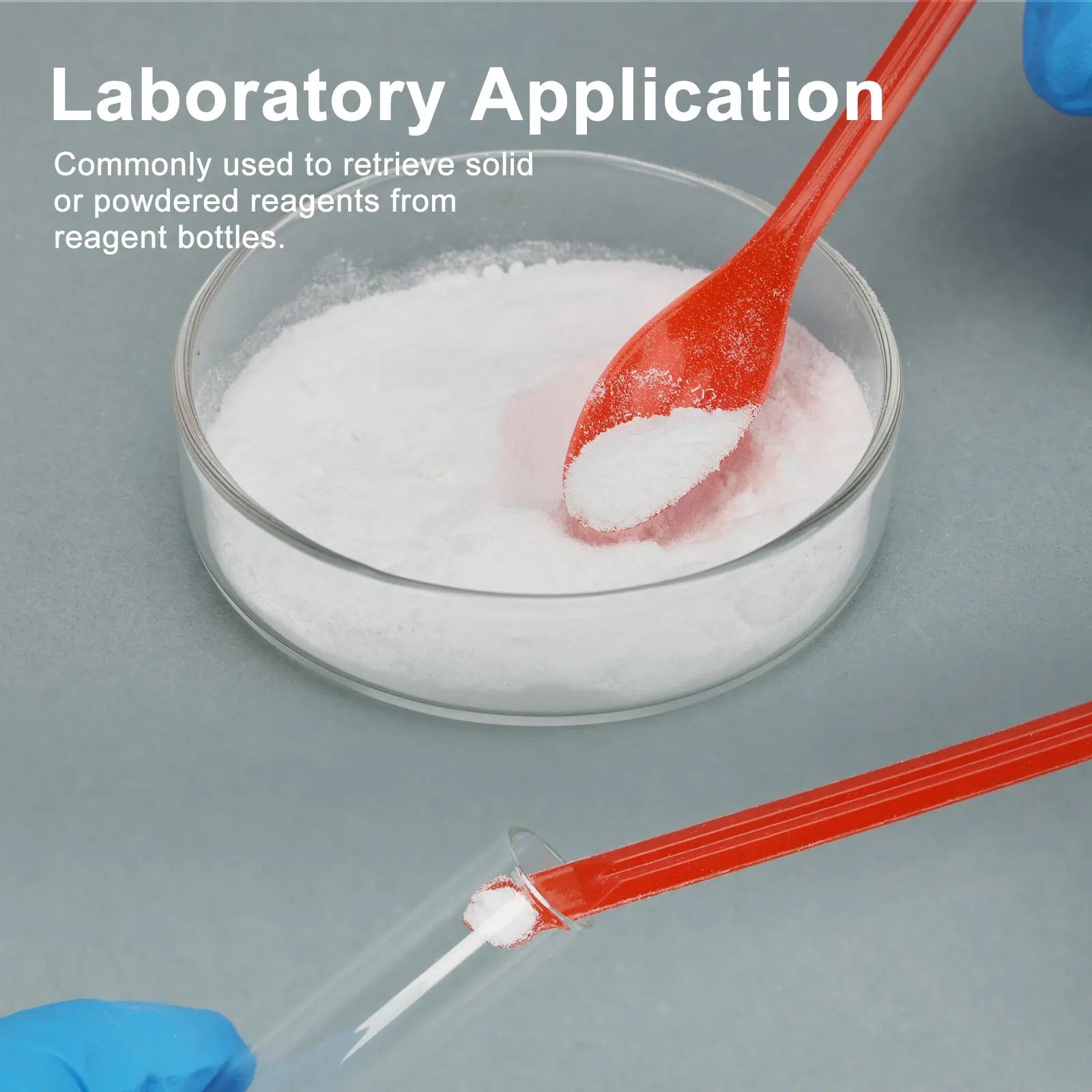Detailed structural assembly component for StonyLab Plastic Sampling Spoon Set