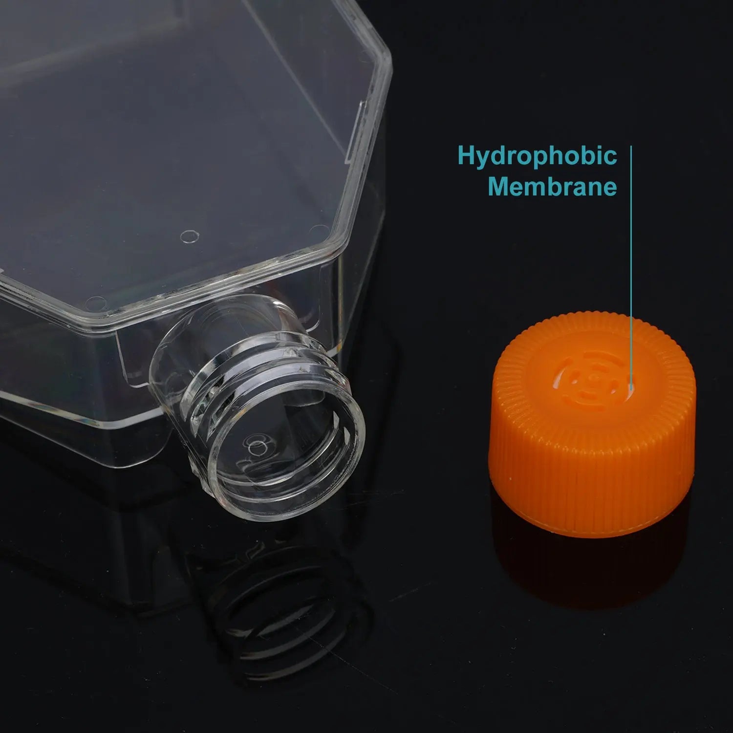 Side view and dimensional layout of the durable StonyLab Sterile Cell Culture Flasks with Breathable Lid