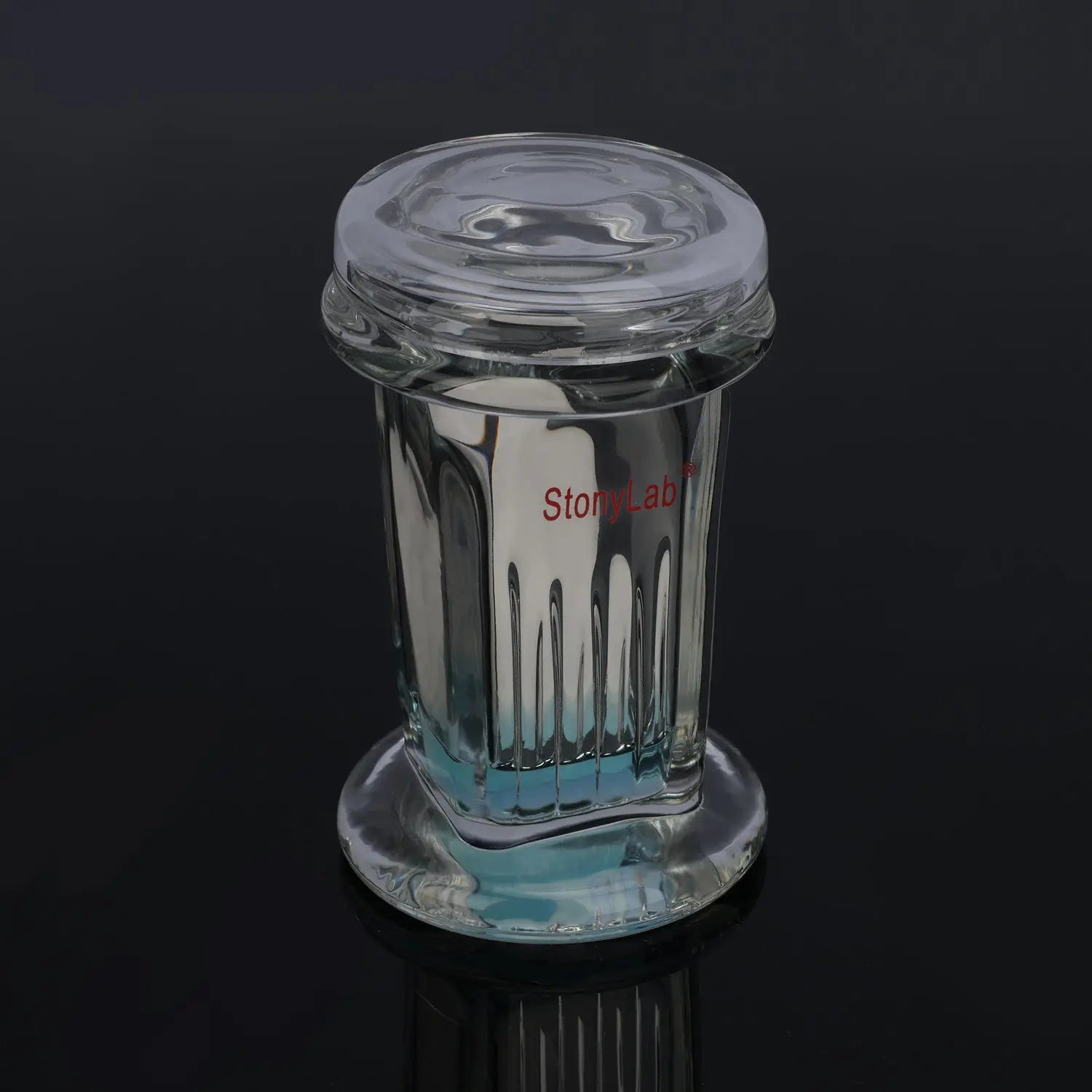 StonyLab Small TLC Developing Tank heavy duty chemical processing configuration