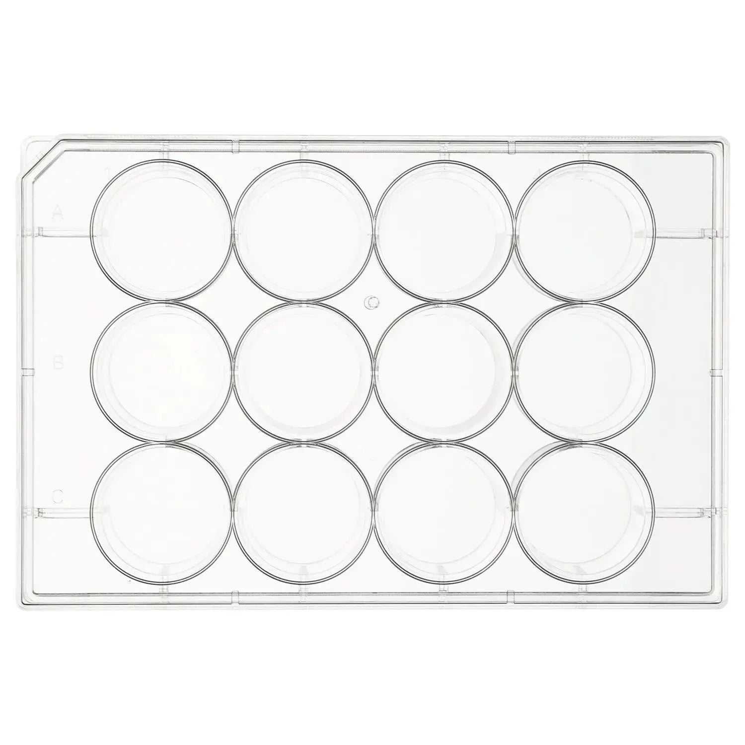 StonyLab Multi-Well Cell Culture Plates – Lab Research | 10% Off + Free ...