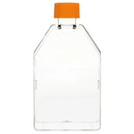 Life-Sciences StonyLab