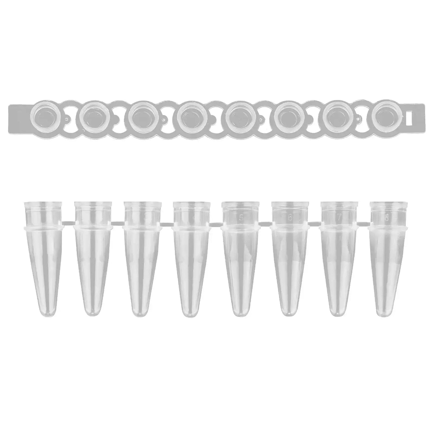 PCR-Accessories StonyLab