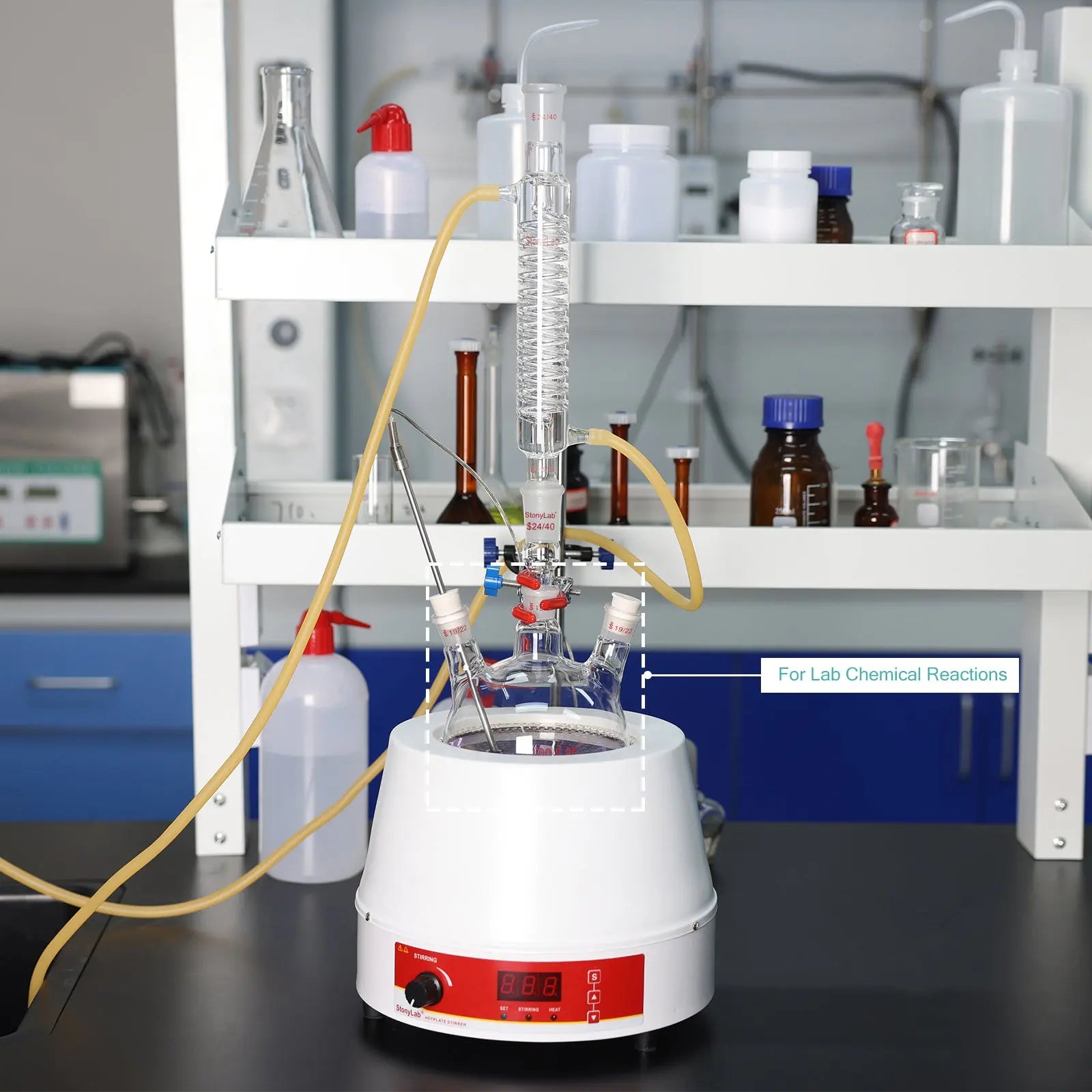 3 Neck Round Bottom Flask, 19/22 Joints, 50-5000 ml Flasks-Round Bottom-3 Neck