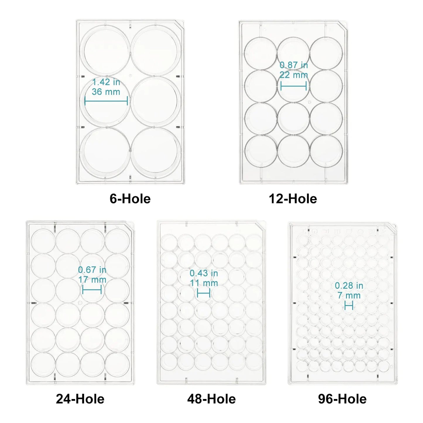 50-Pack Flat-Bottom Cell Culture Plate Dishes with Cover, Sterile, Polystyrene, TC Treated, Non-Pyrogenic Cell Culture Plate