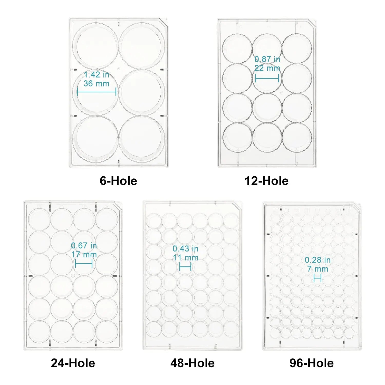 50-Pack Flat-Bottom Cell Culture Plate Dishes with Cover, Sterile, Polystyrene, TC Treated, Non-Pyrogenic Cell Culture Plate