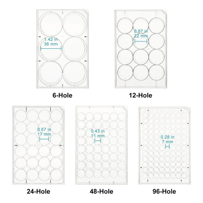 50-Pack Flat-Bottom Cell Culture Plate Dishes with Cover, Sterile, Polystyrene, TC Treated, Non-Pyrogenic Cell Culture Plate