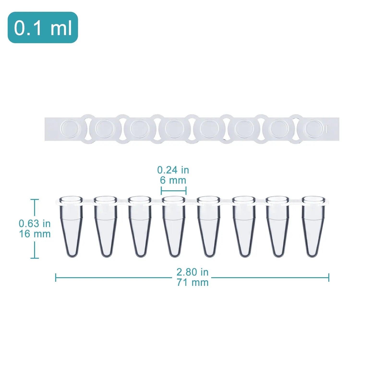 Close-up view showing the precise design and material of StonyLab 8-Strip PCR Tubes