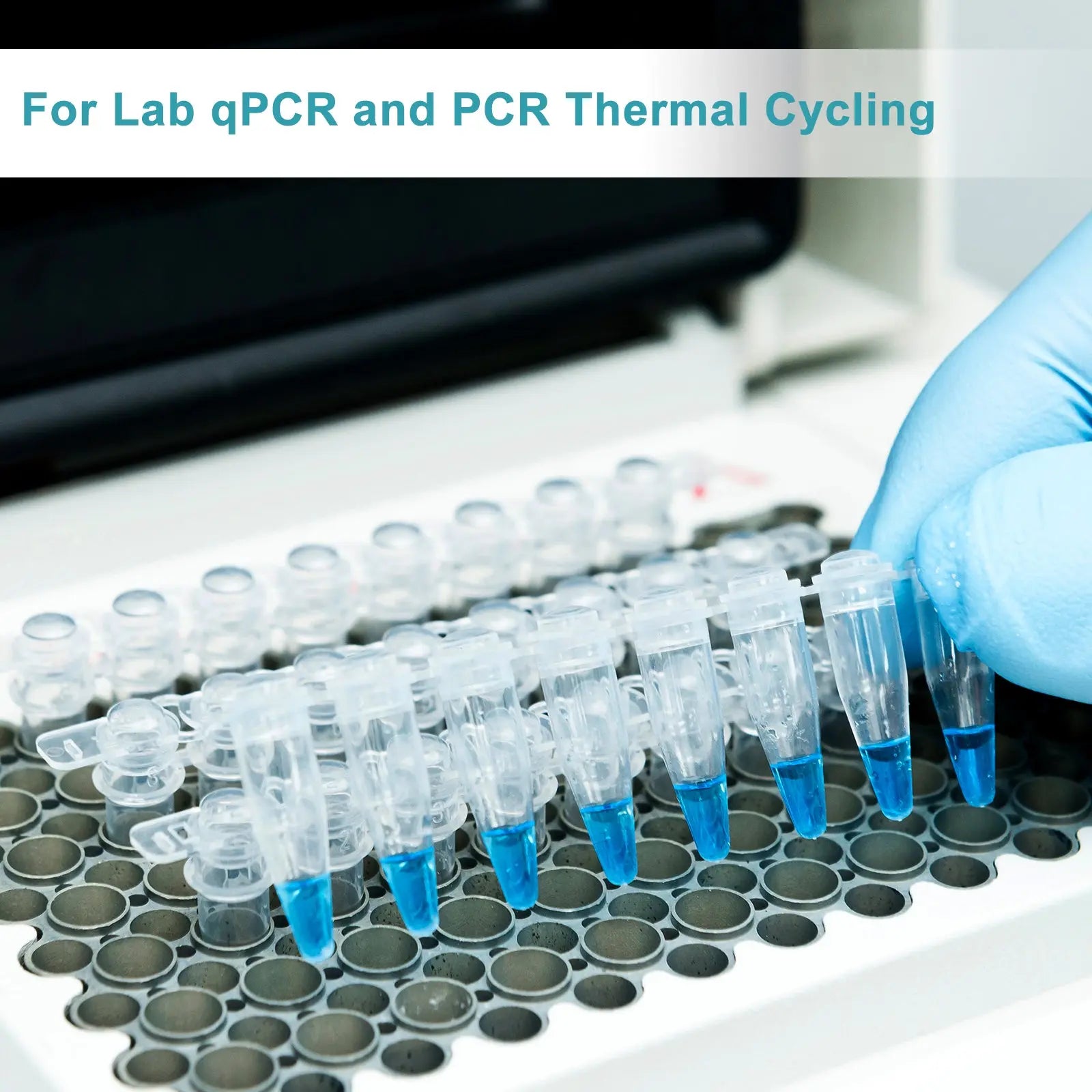 Alternative angle showing underlying build quality of StonyLab 8-Strip PCR Tubes