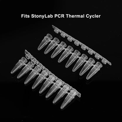 8-Strip PCR Tubes, 0.2ml Thin-Wall Flat Cap, Transparent, 200 Pack Consumables-8-Strip PCR Tubes