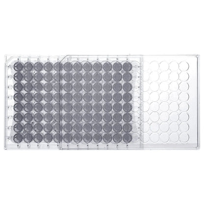 96-well PTFE membrane filter plate 0.22 μm integrated filtration membrane clear polystyrene ANSI SLAS format 300 μL well volume laboratory sample processing plate StonyLab