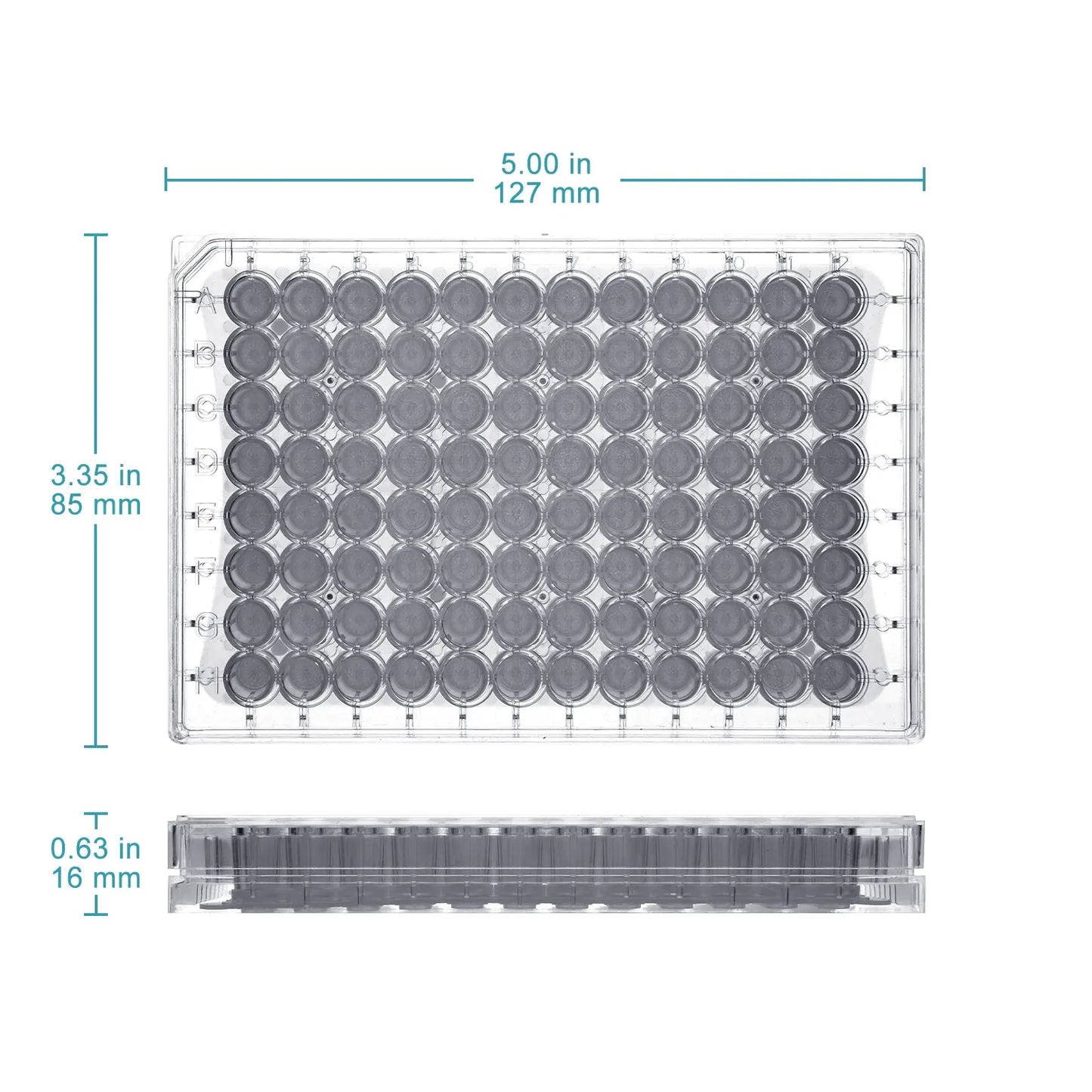 96-well PTFE membrane filter plate 0.22 μm integrated filtration membrane clear polystyrene ANSI SLAS format 300 μL well volume laboratory sample processing plate StonyLab