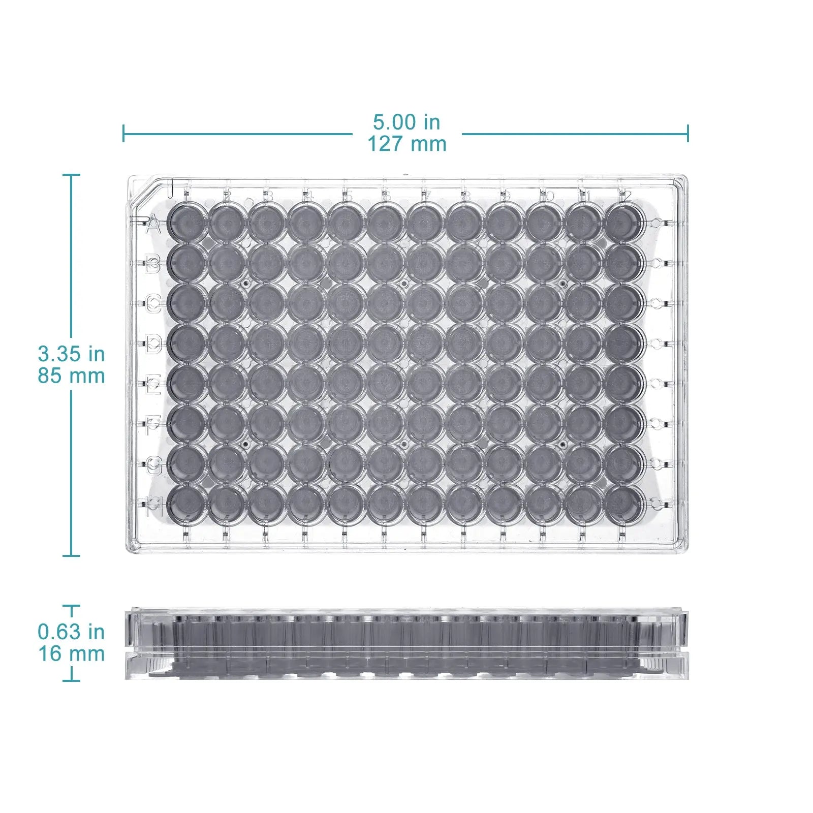 Close-up view showing the precise design and material of StonyLab 96-Well PTFE Membrane Filter Plate