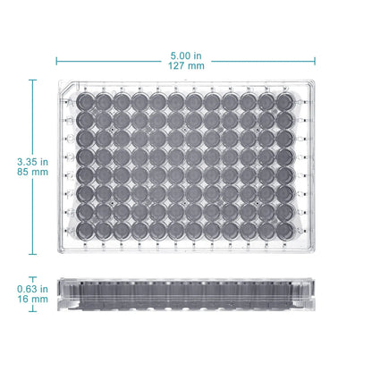 96-well PTFE membrane filter plate 0.22 μm integrated filtration membrane clear polystyrene ANSI SLAS format 300 μL well volume laboratory sample processing plate StonyLab