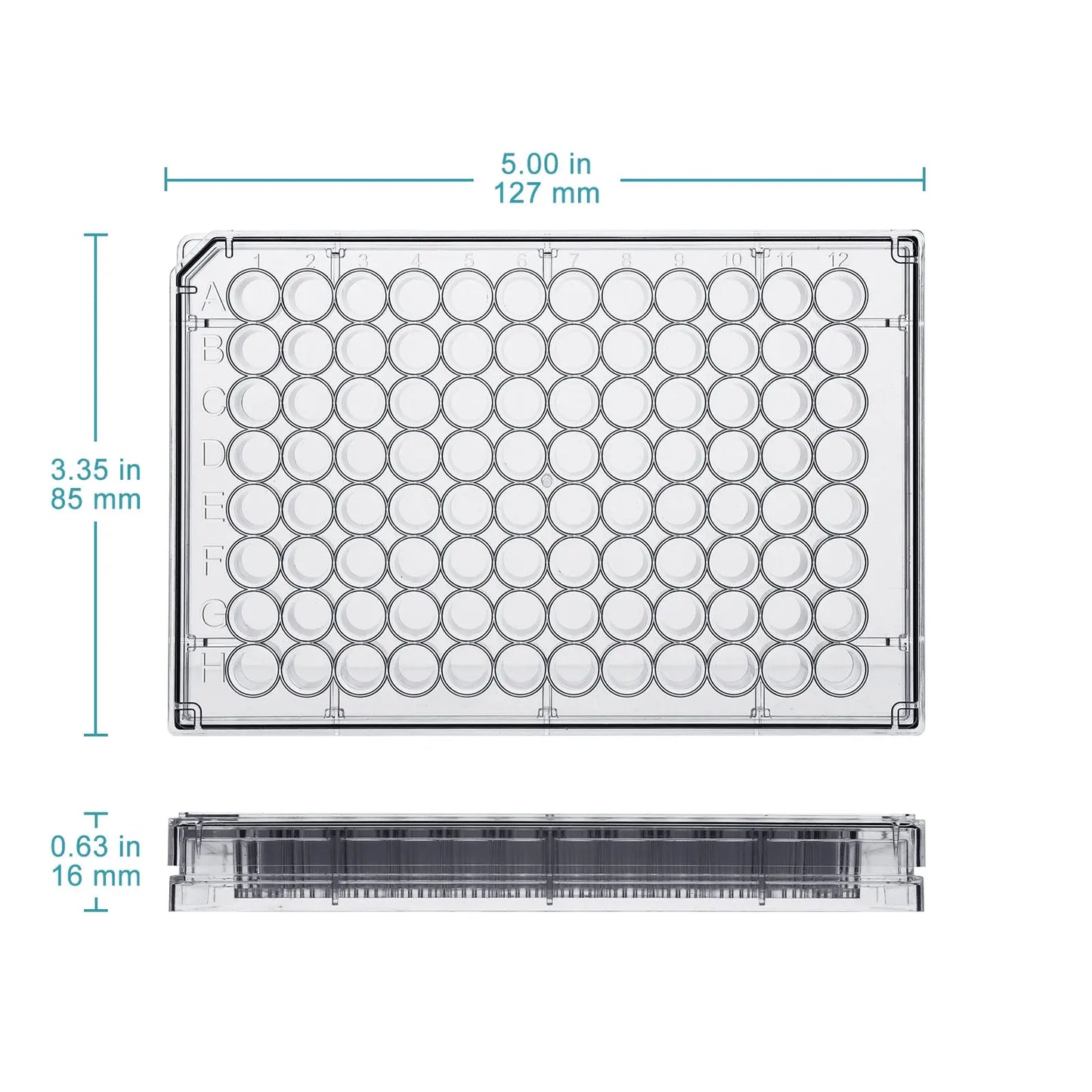 96-Well TC-Treated Cell Culture Plate, Flat Bottom, Sterile, Polystyrene, 50 Plates/Case Cell Culture-Plate