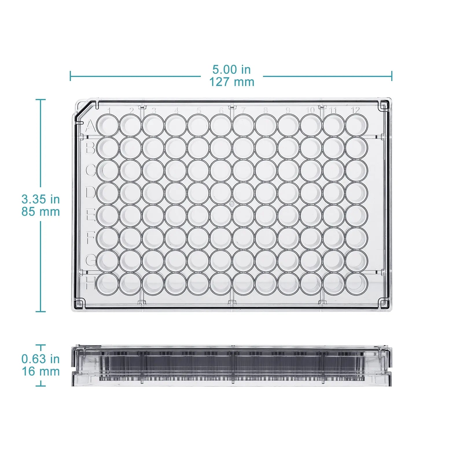 Close-up view showing the precise design and material of StonyLab 96-Well TC-Treated Cell Culture Plate