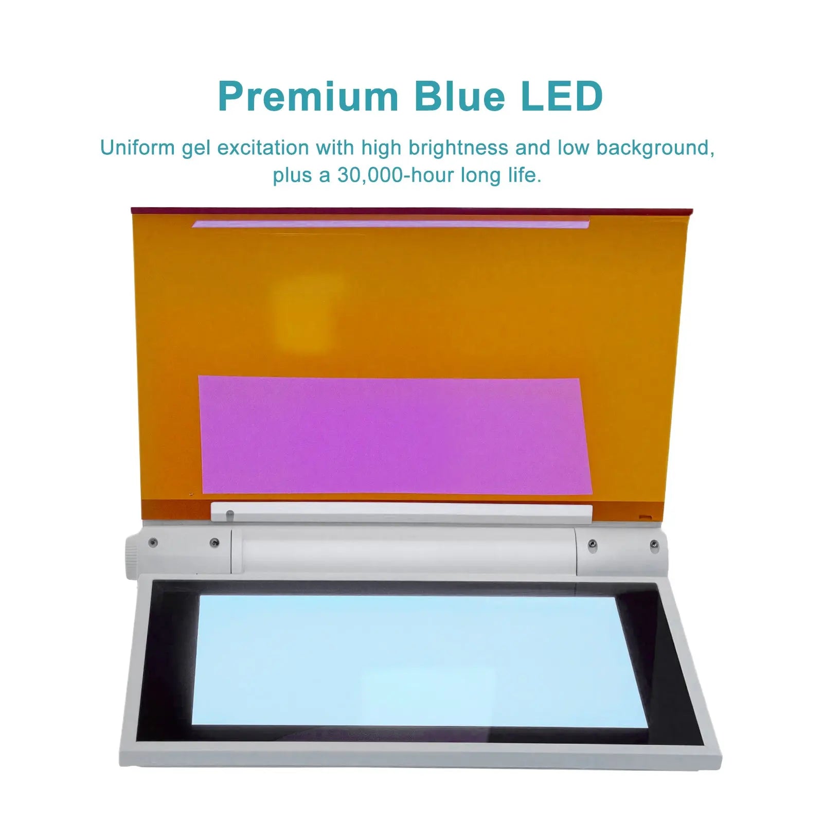 StonyLab Blue Light Transilluminator heavy duty chemical processing configuration