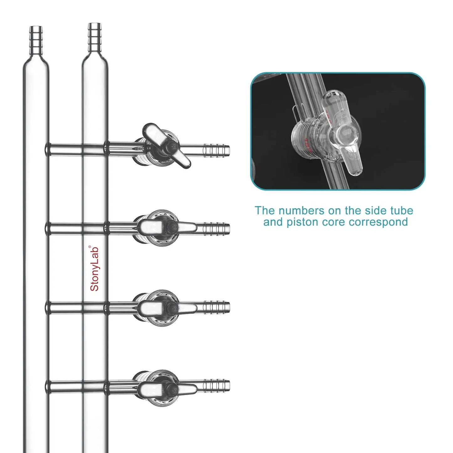 Dual-Manifold with Glass Stopcocks, 4 Ports and 2 Hose Connections Per Bank Double Vacuum Manifold