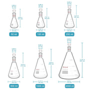 Erlenmeyer Flask with Glass Stopper, 24/40 Joint, 50-2000 ML Flasks-Erlenmeyer
