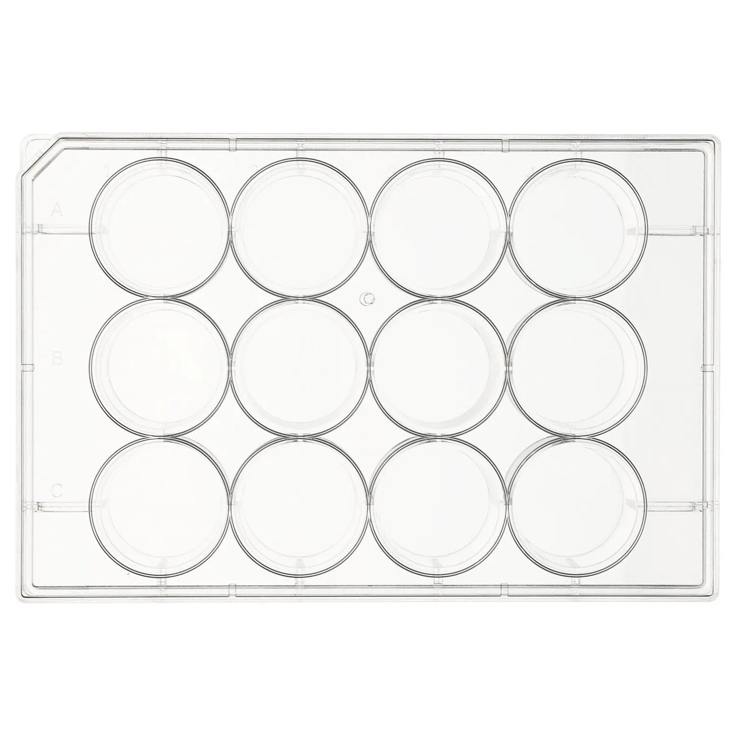 Flat-Bottom Cell Culture Plate with Cover, Sterile, Polystyrene, TC Treated, Non-Pyrogenic Cell Culture Plate