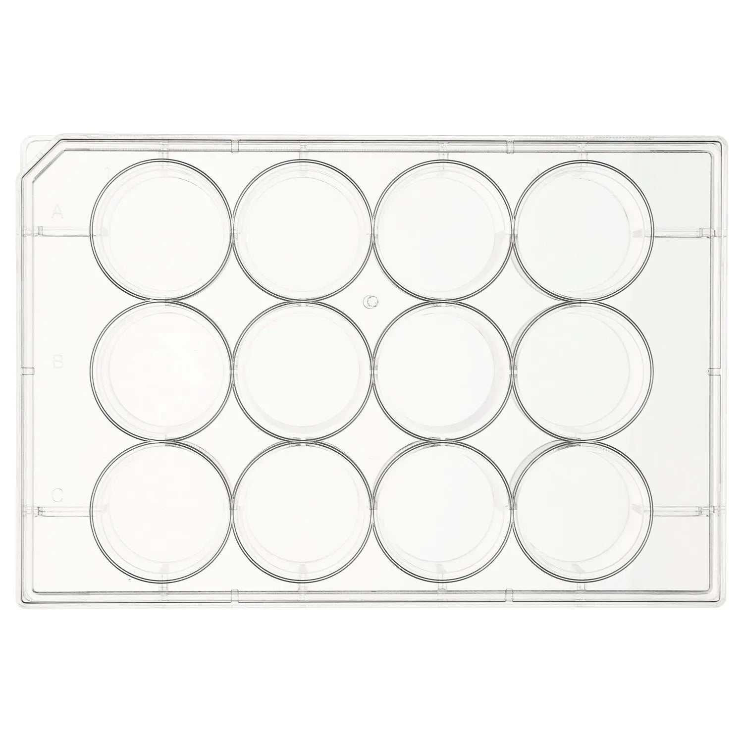 Flat-Bottom Cell Culture Plate with Cover, Sterile, Polystyrene, TC Treated, Non-Pyrogenic Cell Culture Plate