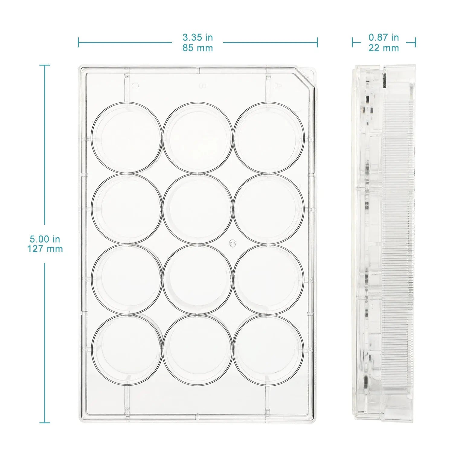 Flat-Bottom Cell Culture Plate with Cover, Sterile, Polystyrene, TC Treated, Non-Pyrogenic Cell Culture Plate