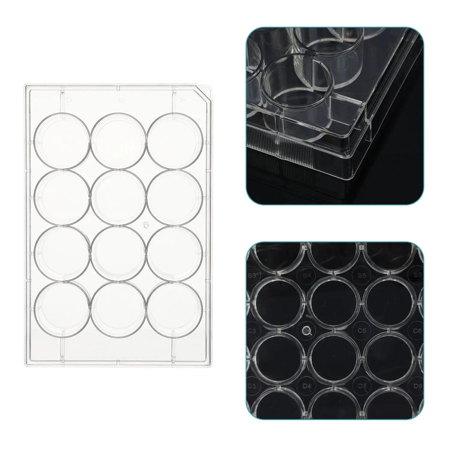 Flat-Bottom Cell Culture Plate with Cover, Sterile, Polystyrene, TC Treated, Non-Pyrogenic Cell Culture Plate