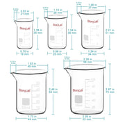 Close-up view showing the precise design and material of StonyLab Mixed Size Glass Beaker Set
