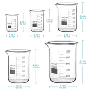 Close-up view showing the precise design and material of StonyLab Glass Beaker Set