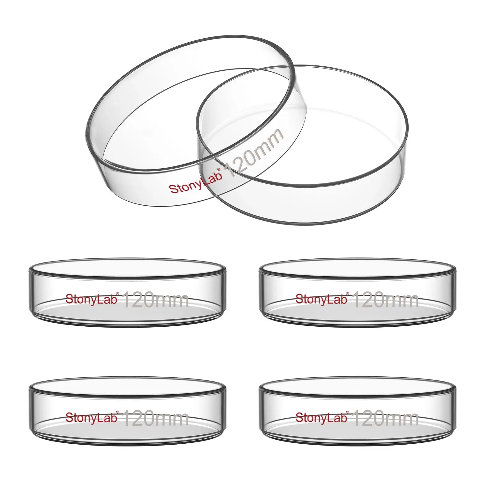 Glass Petri Dishes with Clear Lid, 60-120 mm Cell Culture-Dish