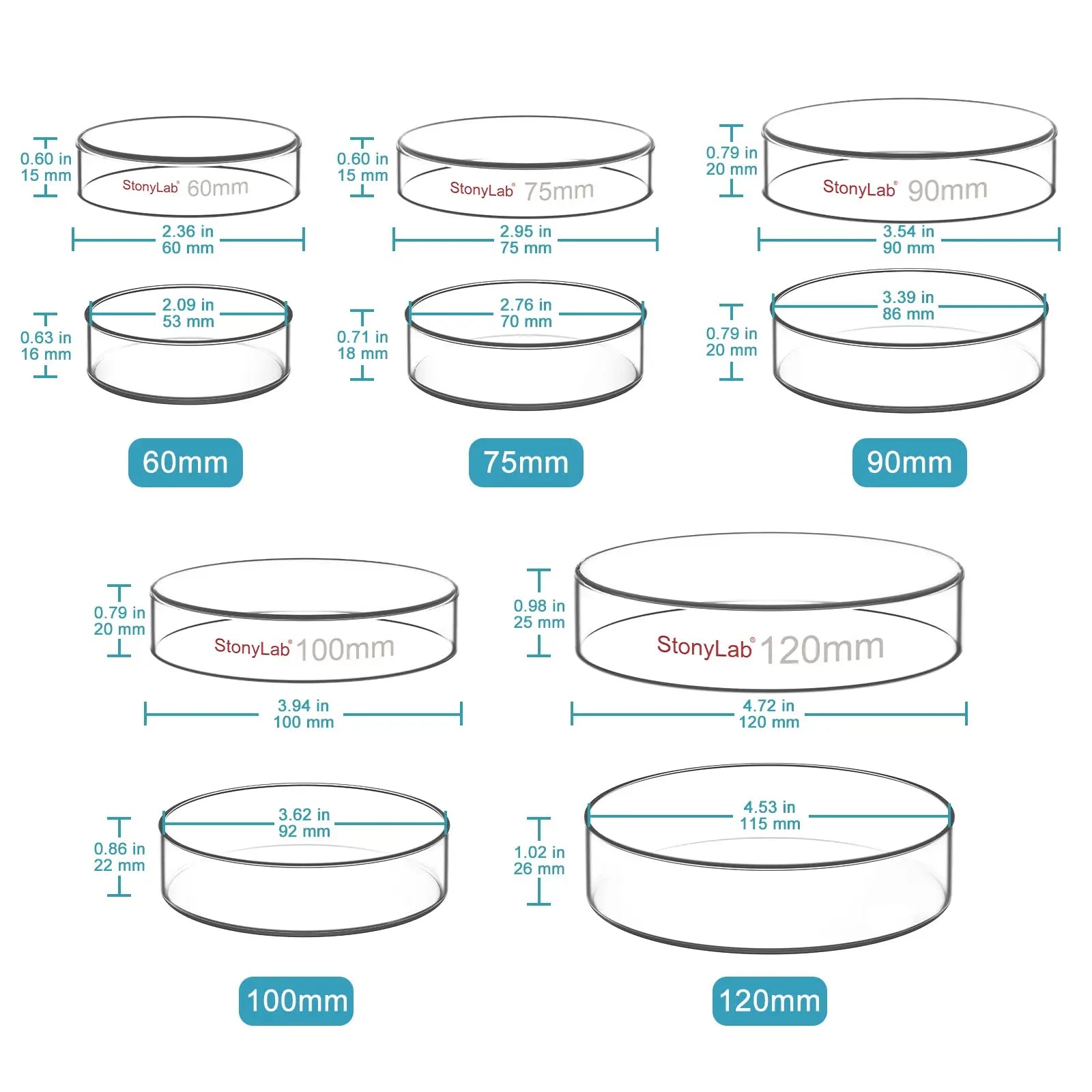 Glass Petri Dishes with Clear Lid, 60-120 mm Cell Culture-Dish