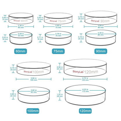 Glass Petri Dishes with Clear Lid, 60-120 mm Cell Culture-Dish