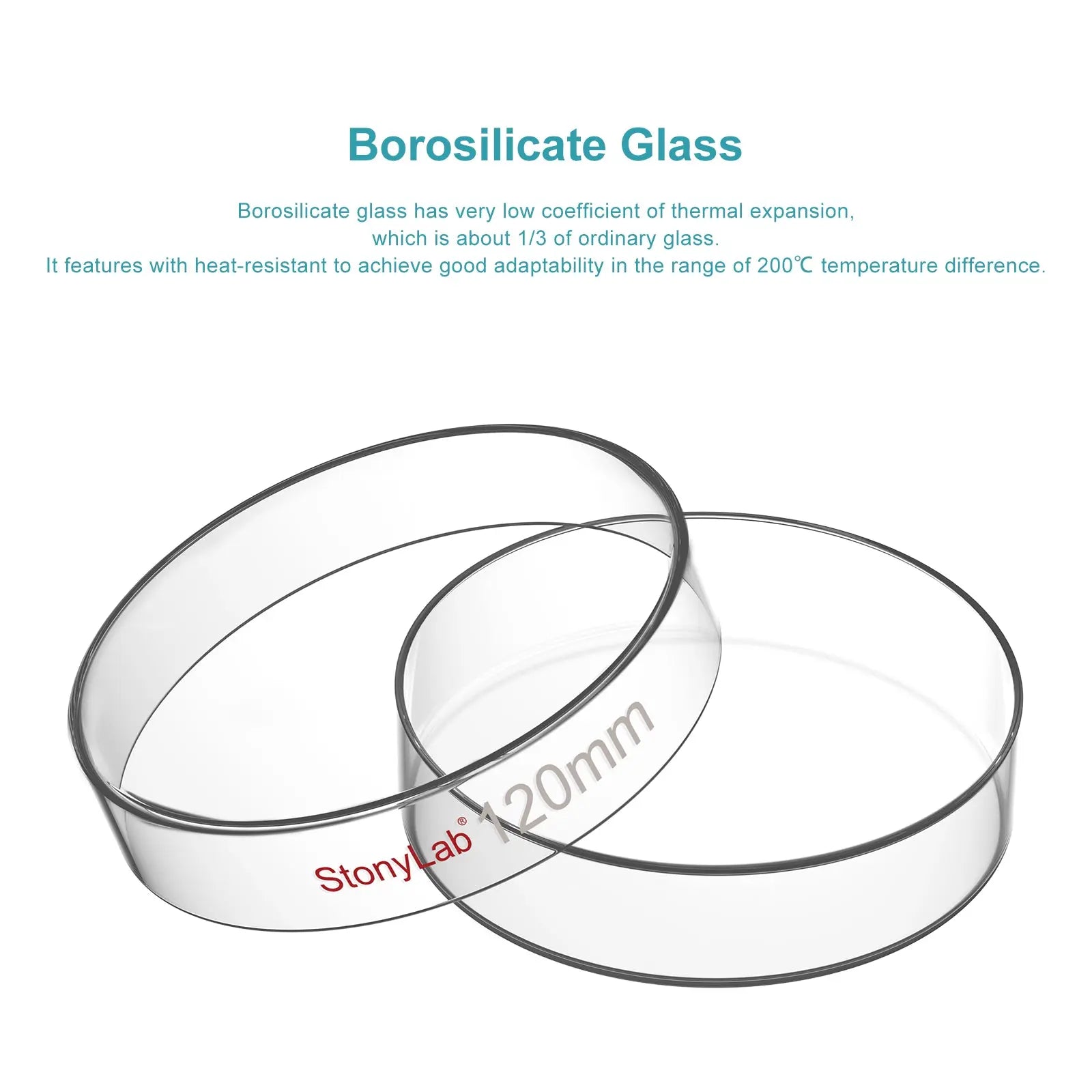 Glass Petri Dishes with Clear Lid, 60-120 mm Cell Culture-Dish