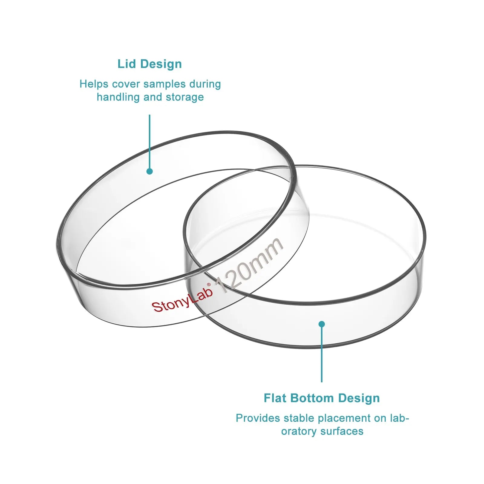 Glass Petri Dishes with Clear Lid, 60-120 mm Cell Culture-Dish