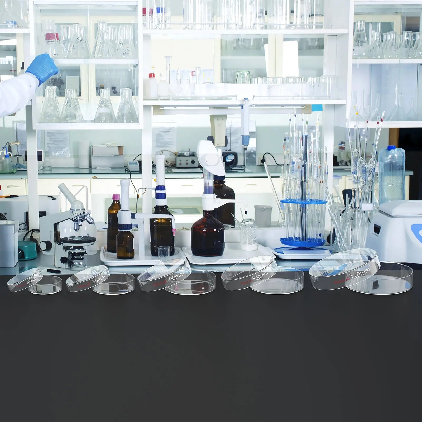 Glass Petri Dishes with Clear Lid, 60-120 mm Cell Culture-Dish