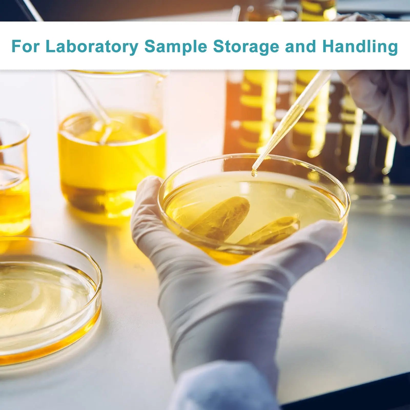Glass Petri Dishes with Clear Lid, 60-120 mm Cell Culture-Dish