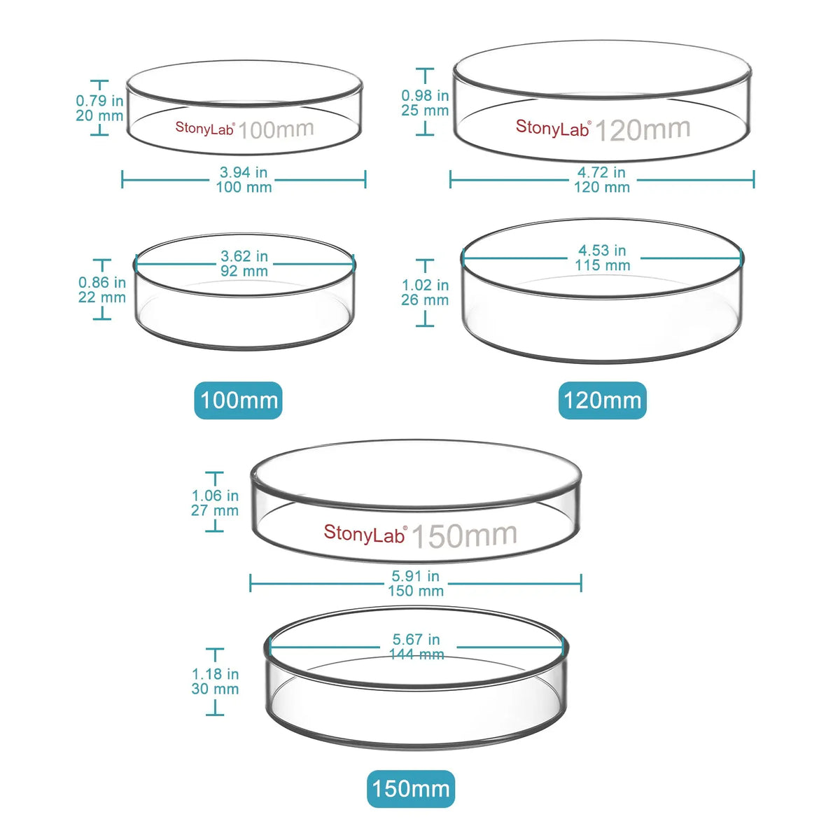 Glass Petri Dishes with Clear Lid, 60-120 mm Cell Culture-Dish