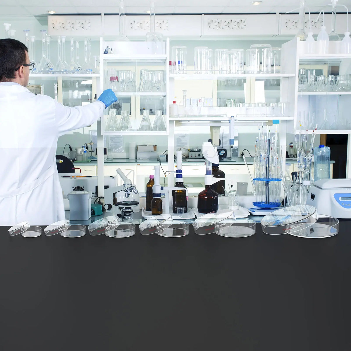 Glass Petri Dishes with Clear Lid, 60-120 mm Cell Culture-Dish
