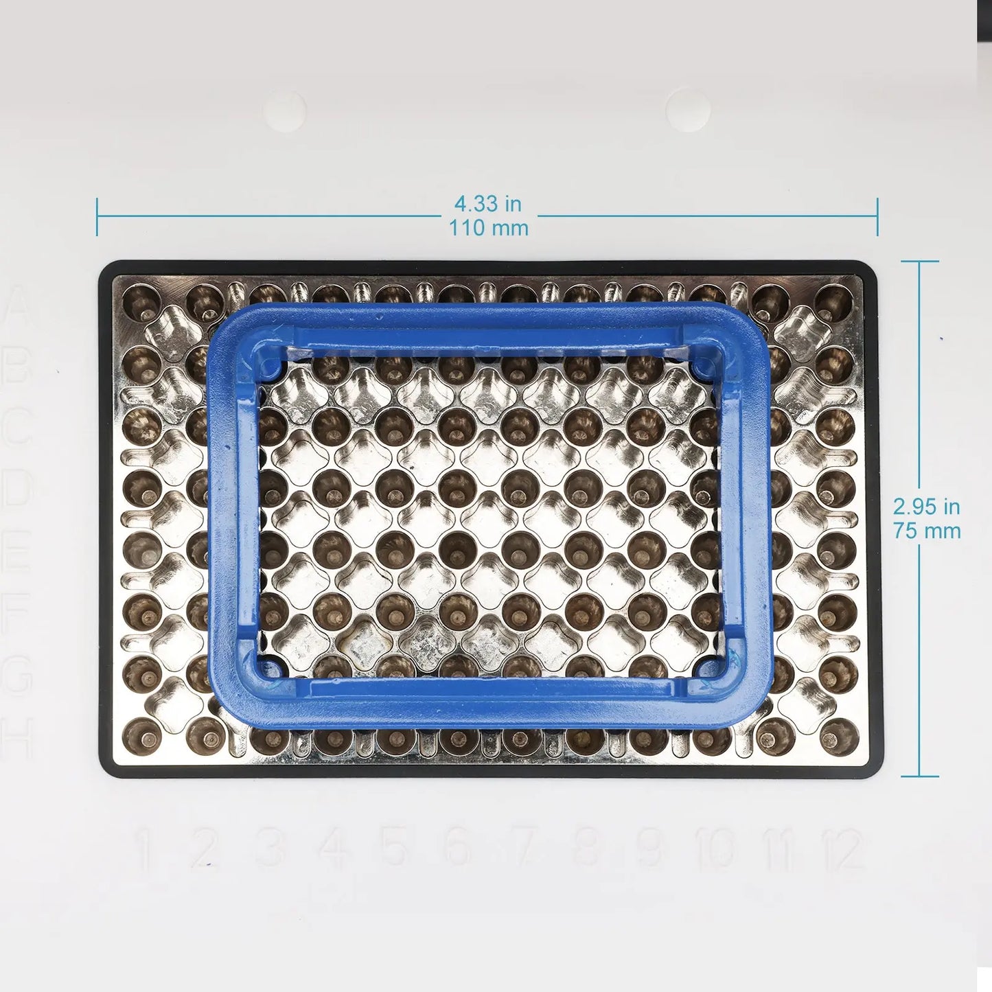 Gradient PCR Thermal Cycler