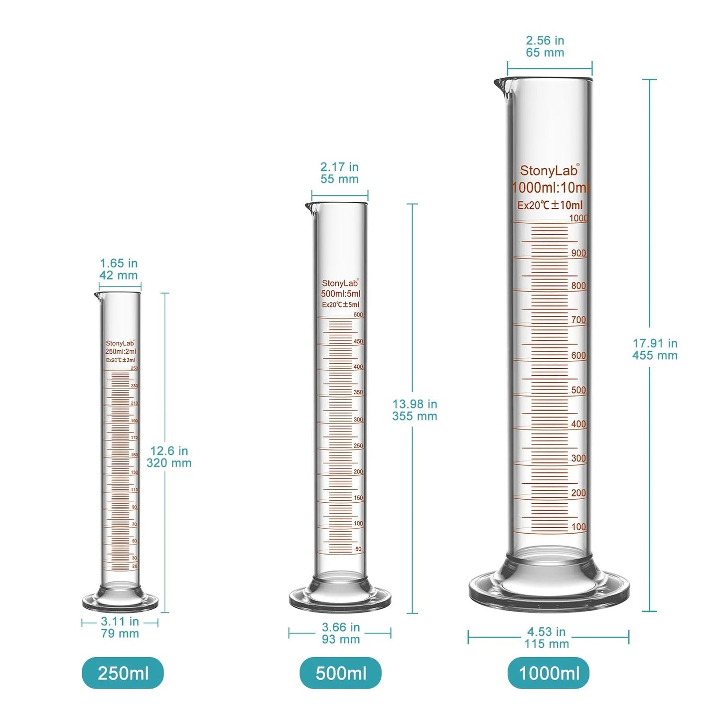 Graduated Cylinder, 10-1000 ml Cylinders