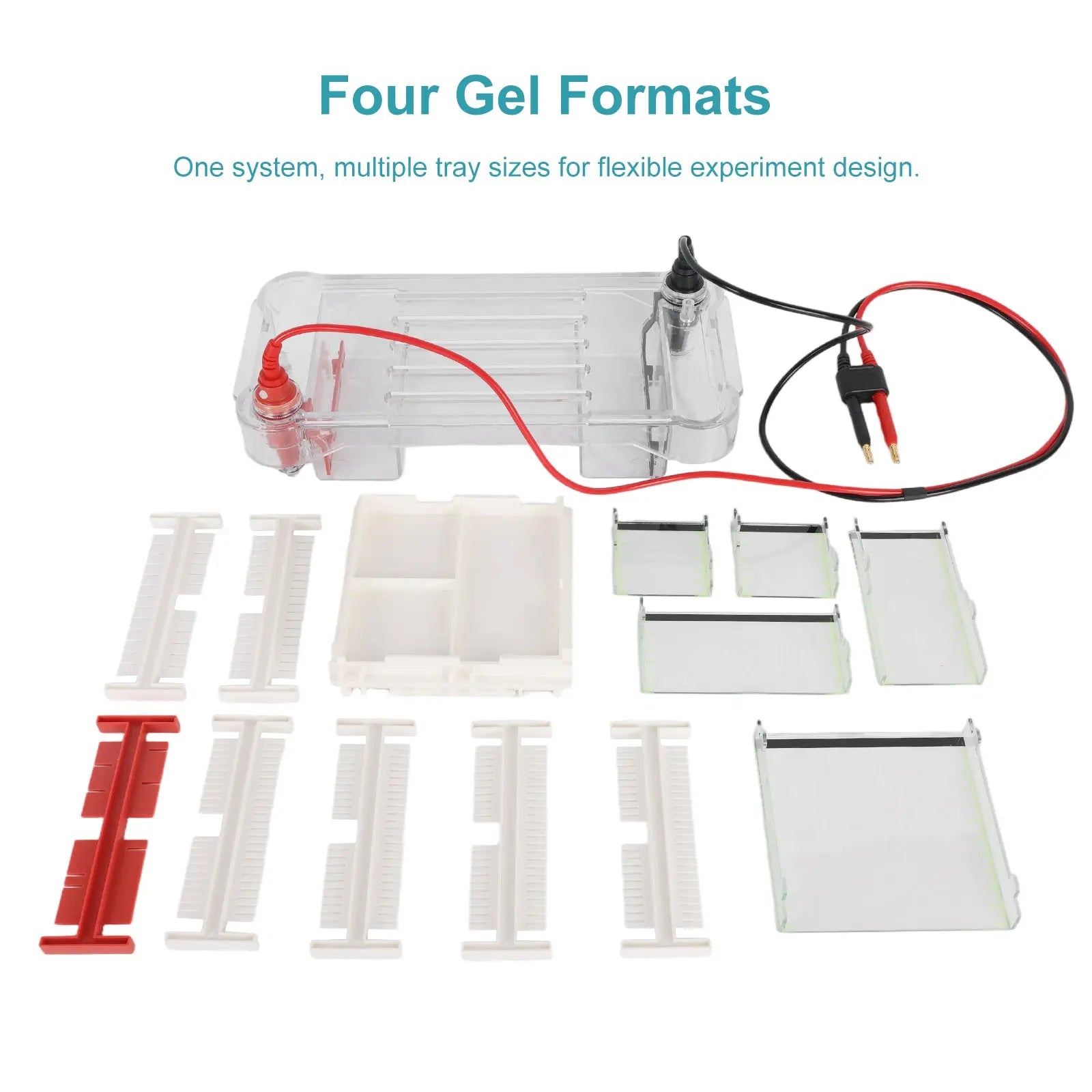 Horizontal Gel Electrophoresis System, 4 Trays | StonyLab