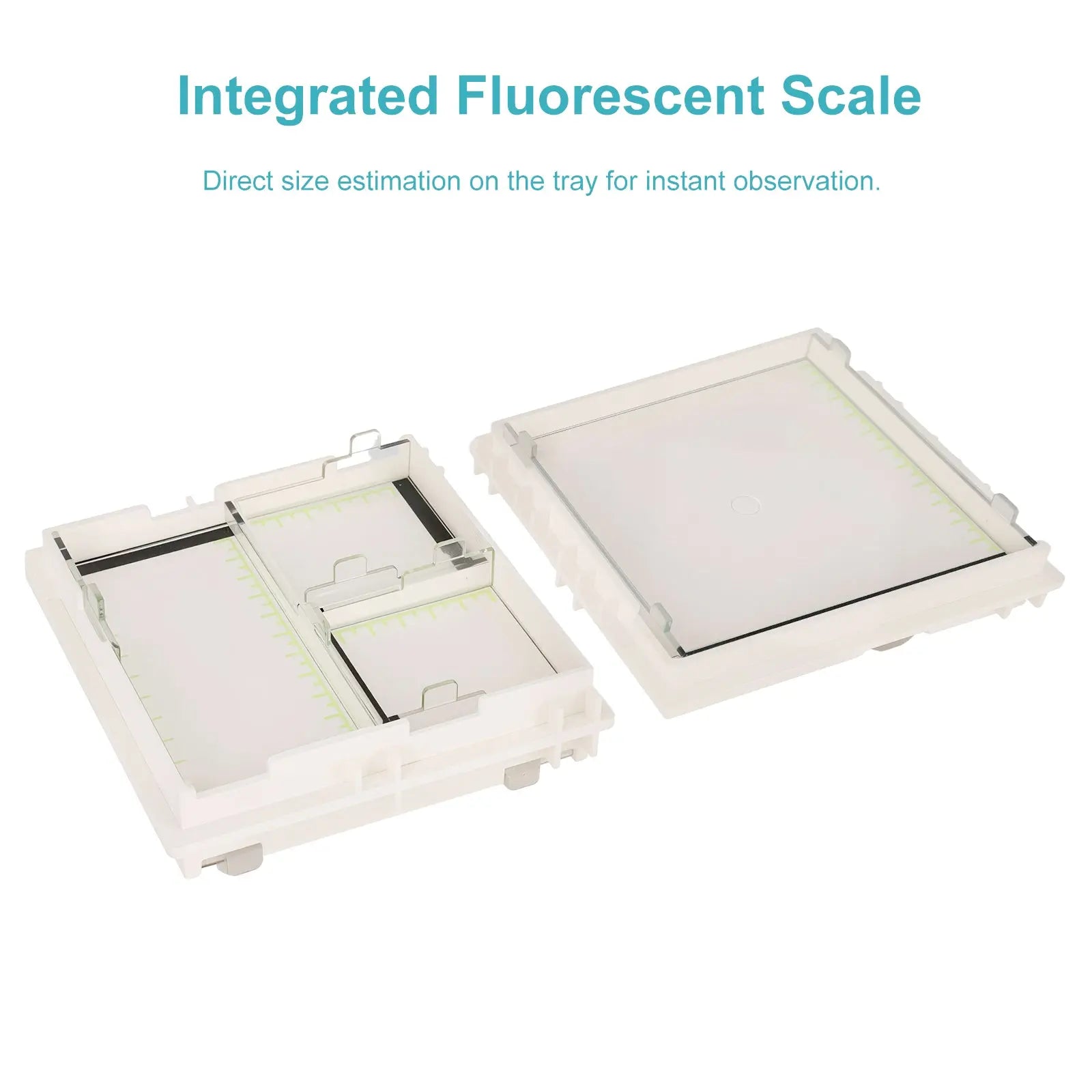 Comprehensive product view and setup components for StonyLab Horizontal Electrophoresis Apparatus