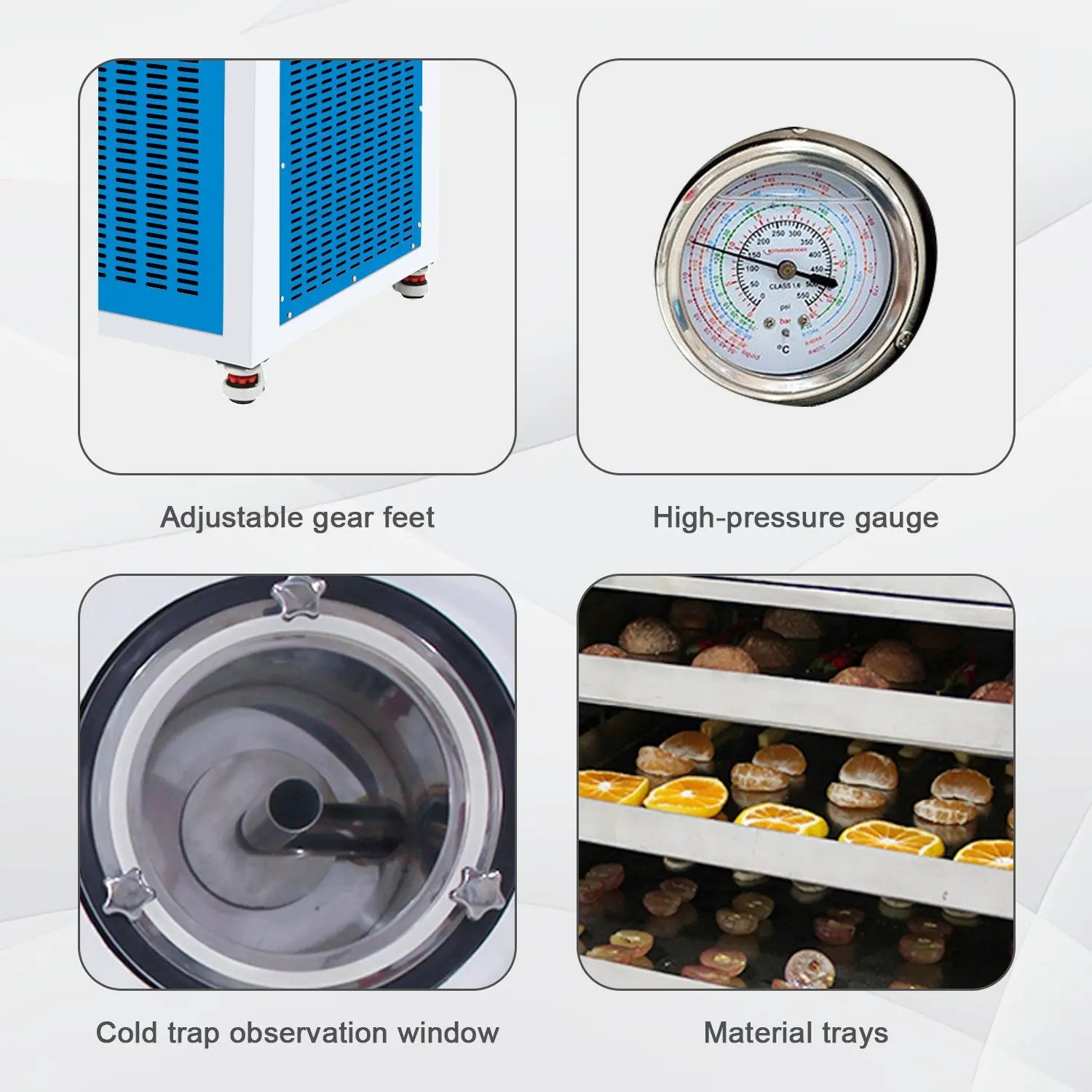 In-Situ Square Cabin Freeze Dryer with 0.2 m2 Drying Area, 3-30L, ≤ -80°C Cold Trap, Silicone Oil Heating Dryers - Freeze